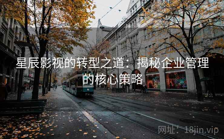星辰影视的转型之道：揭秘企业管理的核心策略