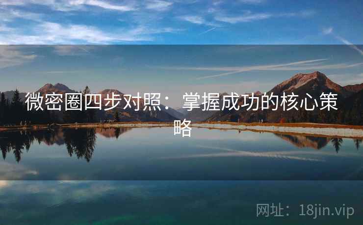 微密圈四步对照：掌握成功的核心策略