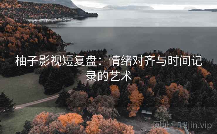 柚子影视短复盘：情绪对齐与时间记录的艺术