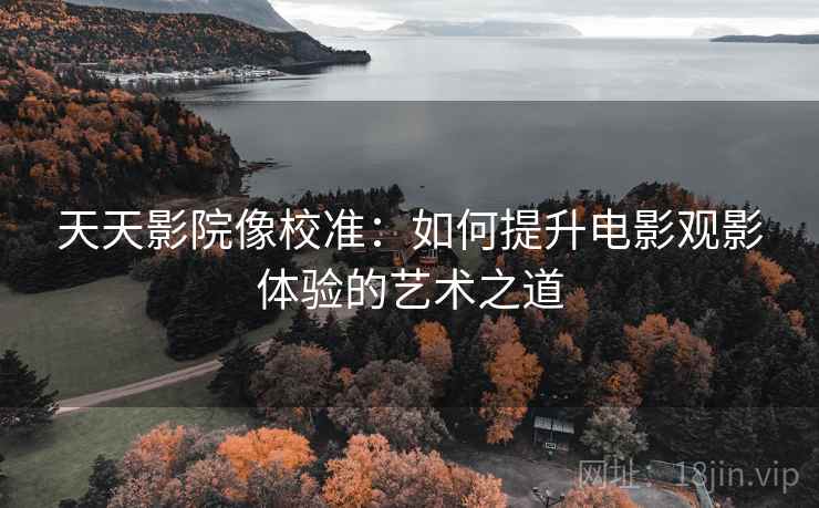 天天影院像校准：如何提升电影观影体验的艺术之道